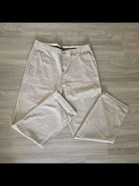 Tasso Elba Light Beige Men's Chino Pants